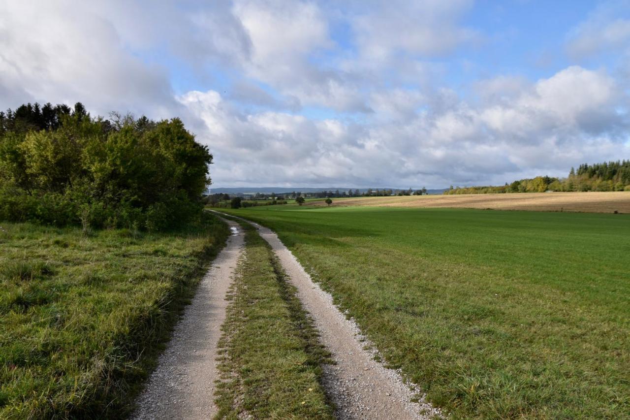 Ferienwohnung Eifelmittendrin Waxweiler Bagian luar foto